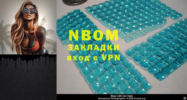 молекула духа Арсеньев