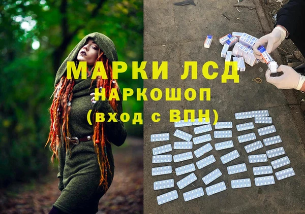молекула духа Арсеньев