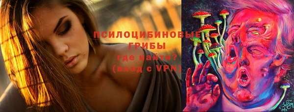 молекула духа Арсеньев