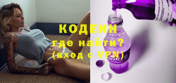 молекула духа Арсеньев